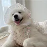 Roupas para cães Roupas anti-perda de cabelo Cães médios e grandes Labrador Samoyed Husky Side Shepherd Shiba Hat