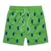 Designer män shorts sommar simning shorts polo warhorse brodered andningsstrand kort snabb torkning surfing mesh shorts