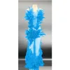 基本的なカジュアルドレスカジュアルドレス女性yラインストーンメッシュの羽の羽の長いドレスイブニングウェディングパーティー歌手dhauc