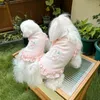Hondenkleding Jurk Chihuahua-kleding Kat Puppy Rok Yorkshire Terriers Maltese Bichon Poedel Schnauzer Voor kleine kleding