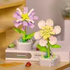 Blocchi Fiore di orchidea Building Blocks Modello Set Fiori romantici Bouquet di fiori di campo Giocattoli di mattoni Decorazione della casa Regalo di San Valentino