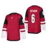 Hockey Jersey Arizona Clayton Keller Schmaltz Logan Cooley Sean Durzi Matias Celli Juuso Valimaki Nick Bjugstad Michael Carcone Coyotes Jason Zucker 2683 6730