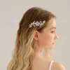 Headpieces Women's Silver Bride Wedding Hair Comb med Crittals Rhinestones Brudtillbehör för flickor