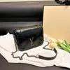 Top Designer di lusso Borsa ad anello Borse per croissant Borsa a tracolla hobo firmata Borsa Baguette cosmetica sotto le ascelle Borsa a tracolla Collezione catena di metallo Borse a tracolla AA