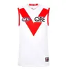 Geelong Cats Rugby Jerseys Afl Essendon Bombbers Melbourne Blues Adelaide Crows St Kilda Saints 22 23 GWS Giants Guernsey Tasmania West Coast Eagles 6687 5761 4370