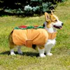 Dog Apparel Dreses Pet Cosplay Costume Funny Costumes Clothing Xs For Cat Halloween