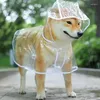 犬のアパレルウォーキー