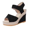 ارتداء أحذية أنثى للبيع 2024 Slip Women's Sandals Summer Solid Solid Open Tee High High Cheels Water Proof Roman Women