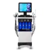 14 I 1 Hydrafacial multifunktionell skönhetsutrustning Diamond Peeling Hydrofacials Deep Cleansing Water Jet Aqua Facial Hydra Dermabrasion Machine Hydrofacials