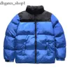 Nort Face Designer Puffer Jacket Womens Down Winter Northfaces Jacket Coat Outdoor Fashion Casuare Zipper