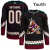 Arizona Hockey Coyotes Jerseys 17 Bjugstad 72 Travis Boyd 29 Barrett Hayton 22 Jack McBain 38 Liam O'Brien 8 Nick Schmaltz 67 Lawson CR 5956 2126 7433