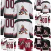 Maillots des Coyotes de hockey de l'Arizona 70 Karel Vejmelka 14 Shayne Gostisbehere 12 Ritchie 17 Nick Bjugstad 19 Troy Terry 90 J.J. Moser 9 Clayt 64 6442