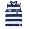Geelong Cats Rugby Jerseys Afl Essendon Bombbers Melbourne Blues Adelaide Crows St Kilda Saints 22 23 GWS Giants Guernsey Tasmania West Coast Eagles 6687 5761 4370