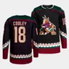 Logan Cooley Hockey Jerseys Coyotes Schmaltz Clayton Keller Nick Ritchie Travis Boyd Lawson Crouse Barrett Hayton Shayne Gostisbehere A 2973 5066