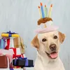 Hundhalsar Happy Birthday Hat Plush Cake Pet Party Custom Accessory Supplies Toy