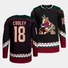 Cooley Logan Hockey Jerseys Coyotes Schmaltz Clayton Keller Nick Ritchie Travis Boyd Lawson Crouse Barrett Hayton Shayne Gostisbehere A 2077