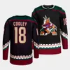 Logan Cooley Hockey Jerseys Coyotes Schmaltz Clayton Keller Nick Ritchie Travis Boyd Lawson Crouse Barrett Hayton Shayne Gostisbehere A 4617