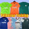 23 24 Palmeiras DUDU RONY Mens Futebol Jerseys Breno Lopes R.Veiga Deyverson Atuesta Ze Rafael G.Veron Danilo R.Navarro Camisas de futebol Treinamento Polo Colete Goleiro