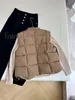 Femmes Gilets Puffy Veste Sans Manches Femme Vestes Designer Manteau Slim Outwears Gilet Col Debout À Capuchon Puffer Gilet Couple Extérieur Chaud Veste Manteau Top