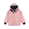 Winterjas heren designer parka jas winter warm winddicht donsjack Canada materiaal paar model nieuwe kleding gans effen kleur jas