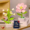 Blocchi Fiore di orchidea Building Blocks Modello Set Fiori romantici Bouquet di fiori di campo Giocattoli di mattoni Decorazione della casa Regalo di San Valentino