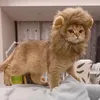 Costumes de chat chapeau mignon et drôle avec des oreilles accessoire adorable pour animaux de compagnie perruque de crinière de lion en polyester pour