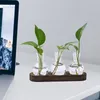 Vasos vaso hidropônico hastes armazenamento moderno vaso de flores desktop plantador de vidro para mesa de jantar varanda estante escritório