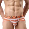 Underpants Sexy Men Briefs Ultra-Thin Translucent Underwear Bulge Pouch Printed Low-Waist Mesh Lingerie Summer Breath Swimwear
