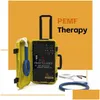 Magnetische therapie 6000 Gauss diepere penetratie Pemf-mat Pmst-lus Hine Psed-apparaat Effectieve pijnverlichting Artritis Sport Drop Deliver Dhems