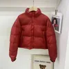 Piumino nord invernale in cotone da uomo Piumini Parka con ricamo di lettere Giacche da esterno Cappotto per il viso Streetwear Vestiti caldi