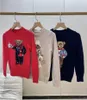 2024 NYA WOMENS Sweater Soft Basic Pulls Fashion Sticked Jumper Top Sueters Women Cotton Bear Sweaters de Mujer Gratis frakt