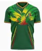 Maillot de football de la Coupe d'Afrique du Mali 2024 Nations DOUCOURE CAMARA MAREGA SAMASSEKOU Maillot de football du Mali