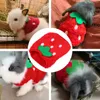 Dog Apparel Kitten Toys Pet Winter Clothes Plush Warm Guinea Pig Strawberry Puppy Outfit Small