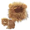 Trajes de gato bonito e engraçado chapéu com orelhas adorável acessório para animais de estimação poliéster leão juba peruca para