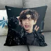 Pillow Custom Lim Young Woong 02 Pillowcase Wedding Decorative Cotton Linen Case For Home PillowCover 45X45(One Sides)