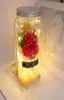 صابون زهرة محفوظ LED Valentine039S يوم عيد ميلاد هدية خالدة RGB الضوء متعدد الألوان قبة حقيقية الأبدية 32225937