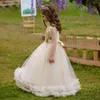 Mädchenkleider Blumenkleid Tüll Flauschig Ärmellos Für Hochzeit Goldene Applikation Mit Schleife Prinzessin Kindergeburtstag Heilige Kommunion