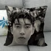 Pillow Custom Lim Young Woong 02 Pillowcase Wedding Decorative Cotton Linen Case For Home PillowCover 45X45(One Sides)