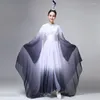 Stage Wear Manches d'eau Costumes de danse Yangko Adultes Ancien National Hanfu Performance Manches longues Classique Fée Folk