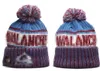 Avalanche Beanie Colorado Knitted Hats Sports Teams Baseball Football Basketball Beanies Caps Women& Men Pom Fashion Winter Top Caps Sport Knit Hats a1