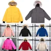 Piumini da donna di lusso in cotone smanicato Giacche a vento Coppie Cappotti caldi ispessiti Parka canadesi di design personalizzato