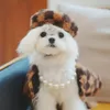 犬のアパレル冬の猫の子犬ジャケット服ミディアムウォームアクセサリー小犬パラコートペロスコスチュームモノスペットファー