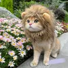 Costumi per gatti Simpatico cappello da leone Cappuccio per animali traspirante Copricapo per cani stile novità per puntello Pografia Super morbido