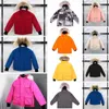 Daunenparkas Winter-Bodywarmer Baumwolle Luxuriöse bauschige Jacken für Damen Windjacken Verdickte warme Mäntel für Paare Kundenspezifische kanadische Designer-Parkas