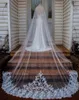 Nuovi veli da sposa in pizzo applicati Lunghezza lunga cattedrale Bianco avorio Champagne Velo da sposa con pettine Velo da sposa su misura6675088