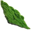 Fleurs décoratives simulées fausse mousse accessoires pour la maison tapis de gazon artificiel herbe aménagement paysager accessoire Kit de batterie