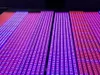 2024 new Led Grow Light Hydroponic Systems Bar 0.6M 0.9M 1.2M Strip t5 t8 Tubes For Greenhouse Medical Plants Professional Indoor Hydroponics Phyto lamp