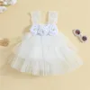 Abiti da ragazza Principessa Neonate Tutu Abito estivo Fiore 3D Pizzo a strati Tulle Bambino Cotone Senza maniche Abbigliamento Capispalla 0-4 anni