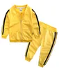 Kids Boys Girls Tracksuit 2 Piece Clothing Set Long Sleeve Zipper Jackets Coat With Pants Trousers Outfits Casual Sports Autumn SW9982976