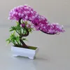 Dekorativa blommor konstgjorda bonsai liten trädkrukväxt simulering falska blomma krukta ornament växter trädgård hemmakontor dekor